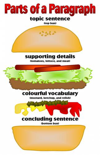 Hamburger Paragraph Writing