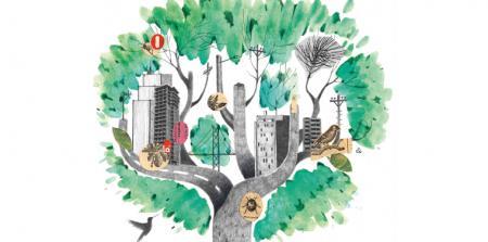 Urban Infrastructure: What Would Nature Do? | Ensia