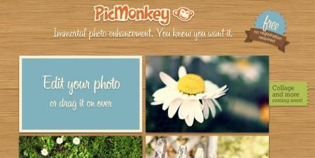 Google suggests PicMonkey as a Picnik replacement, and it was