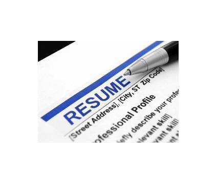 resume writing format professional resume services in raleigh nc ...