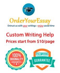 Essay Writing Service